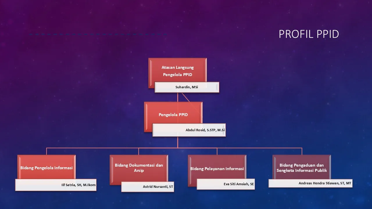 PPID Struktur Organisasi